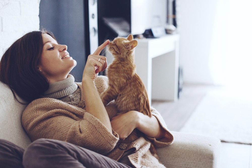 chat de race